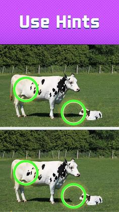 Find The Difference - Screenshot 4