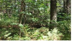 Eggy game - Screenshot 2