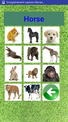 learn animals for kids - Screenshot 3