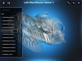 Bone Viewer - Dog Skull - Screenshot 3