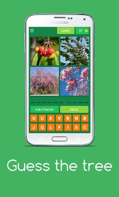 Guess the tree - Tree species  - Screenshot 3