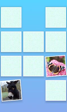 Animal Pairs - Screenshot 1