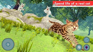 Kitty Family Cat Simulator - Screenshot 2