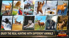 Animal Hunter 3D Hunting Games - Screenshot 4