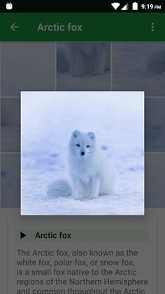 Dogs Puzzle - Screenshot 3