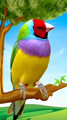 Bird Games – Jungle Adventure - Screenshot 2