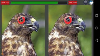 Find Differences - Screenshot 2