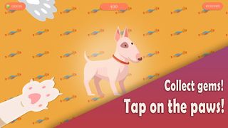 Dog versus angry cat fight! - Screenshot 1