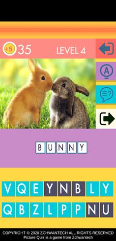 Picture Quiz - Screenshot 4