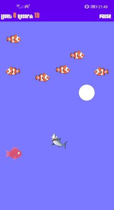 Lazy Shark - Screenshot 3