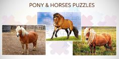 Pony and Horse Jigsaw Puzzles - Screenshot 4