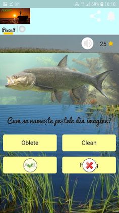 Pescuit - Screenshot 4