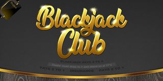 Blackjack Club - Screenshot 2