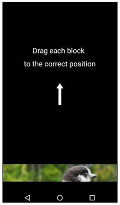 Img Reveal - Screenshot 3