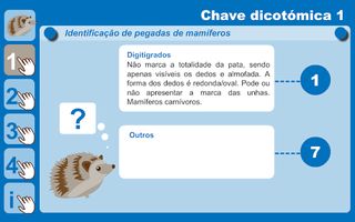 Investigar as pegadas dos anim - Screenshot 3