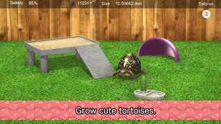 Tortoise to grow relaxedly - Screenshot 1