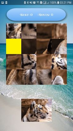 Puzzle By Switching - Screenshot 3