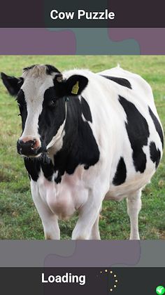 Cow Puzzle - Screenshot 1