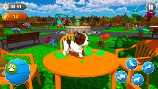 Pet Dog Game: Virtual Dog Sim - Screenshot 3