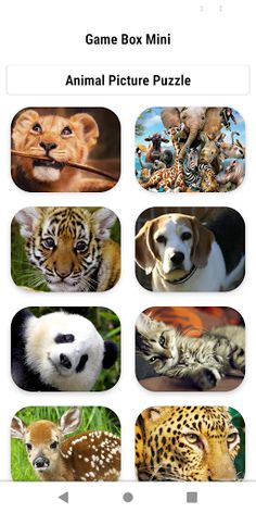 Jigsaw Puzzle Master - Screenshot 2