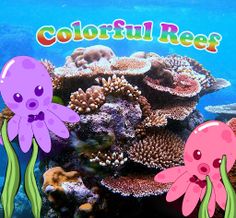 Colorful Reef - Screenshot 4