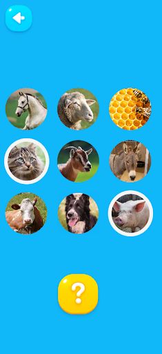 Sound Bingo - Screenshot 2