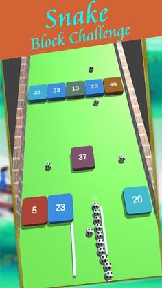 Snake Block Challenge - Screenshot 2
