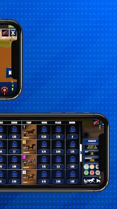 BetUs Sports Racing - Screenshot 3