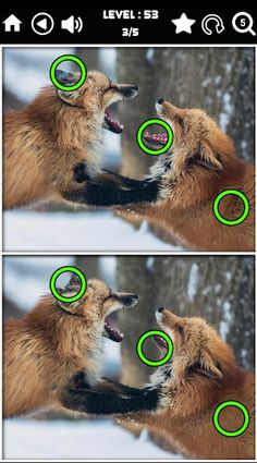 Find the differences - Screenshot 3