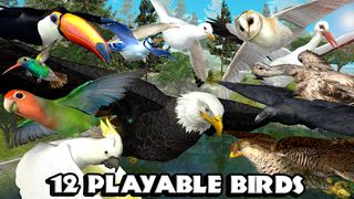 Ultimate Bird Simulator - Screenshot 2