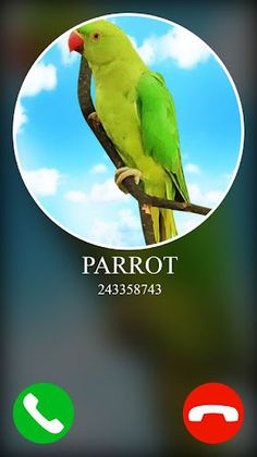 fake incoming call pet game - Screenshot 1