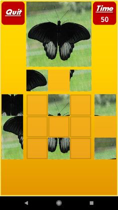 Puzzle My Mind Pro - Screenshot 2