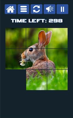 Puzzle Challenge - Screenshot 3