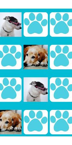 Cute Dogs Memory Game - Screenshot 4