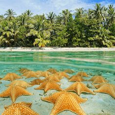 Jigsaw Puzzles For Adults - Screenshot 3