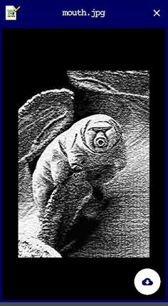 For A Real Angel - Screenshot 1