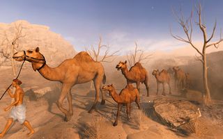Desert Transport Camel Rider - Screenshot 2