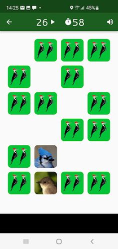 Mémoire d'oiseau - Screenshot 2