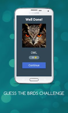 GUESS THE BIRDS CHALLENGE - Screenshot 2