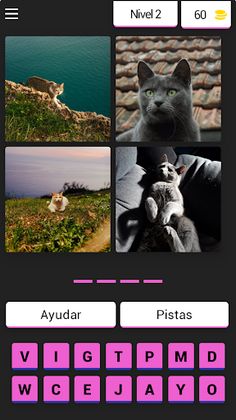 Adivina2 - Screenshot 3