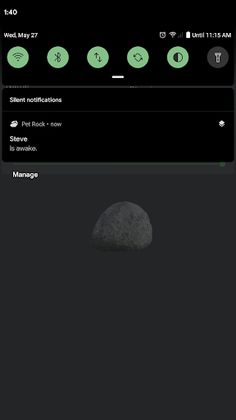 Pet Rock - Screenshot 4