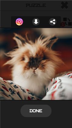 Easter Slide Puzzle - Screenshot 4