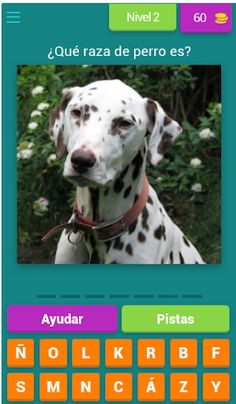 ALL QUIZ: Razas de perro - Screenshot 3