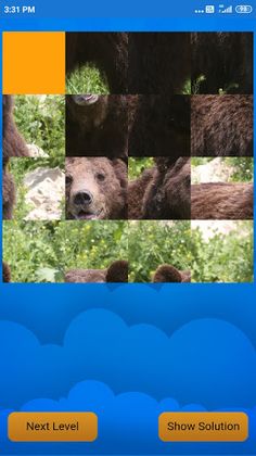 Animal Challenge - Screenshot 3