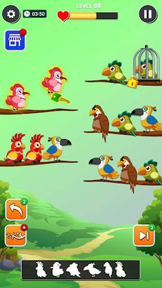 Bird Sort: Sorting Bird Games - Screenshot 3