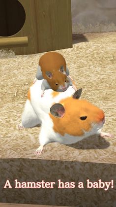 Namaham - Screenshot 1