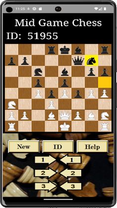 MidGameChess - Screenshot 2