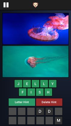 Picture Guess - Screenshot 2