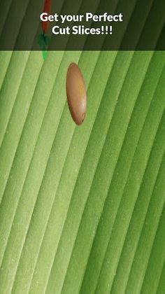 Mr. Perfect Salad Slices - Screenshot 2