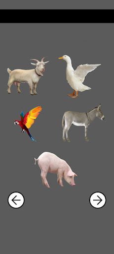 Animal Sounds - Screenshot 4